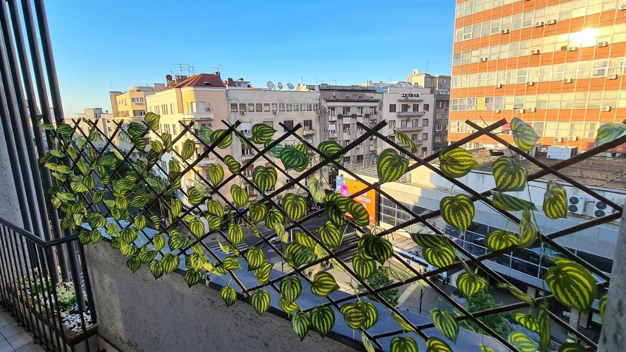 Windows City Apartment Belgrad Zewnętrze zdjęcie